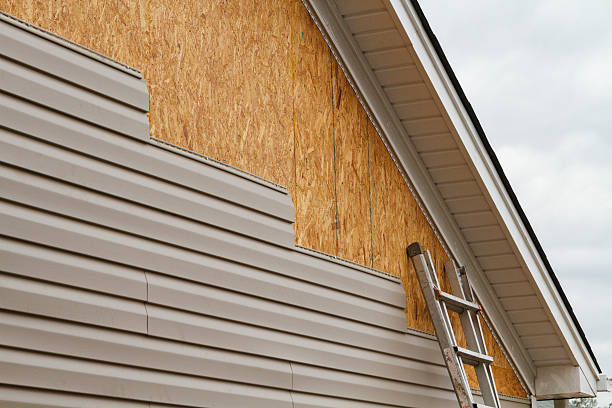 Professional Siding Inspection technician working in Rochelle, GA
